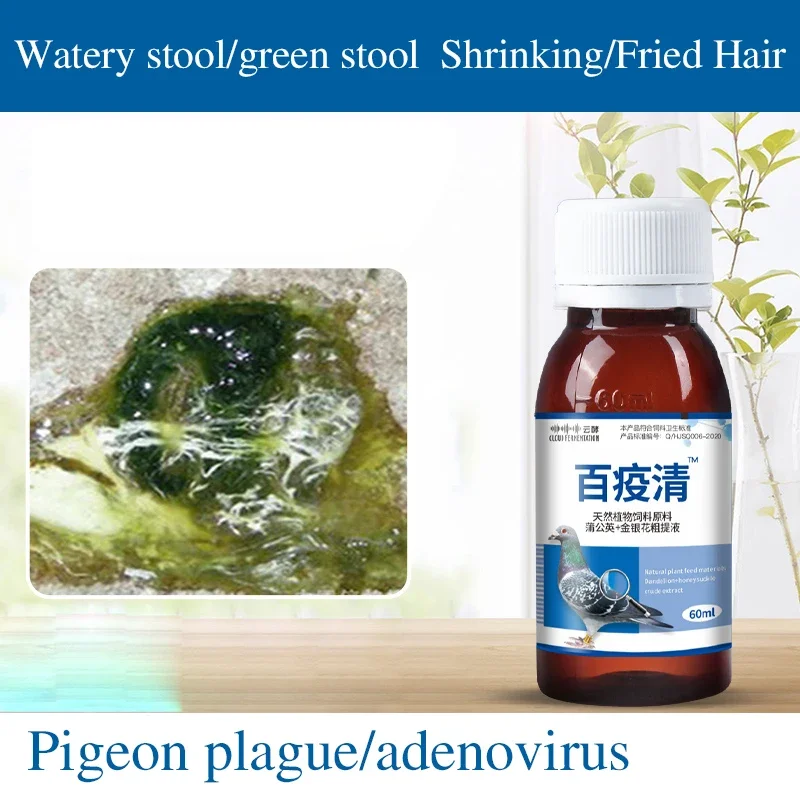 Pigeon Medicine Green Water Stools Newcastle Disease Bursitis Supplies