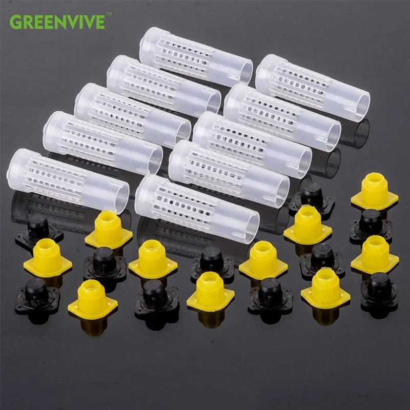 20PCS Bee Queen Cage Rearing Cover Catcher Queen Plastic Cells Bees Box Cages Beekeeping Tools Abelhas Apiculture Equipement