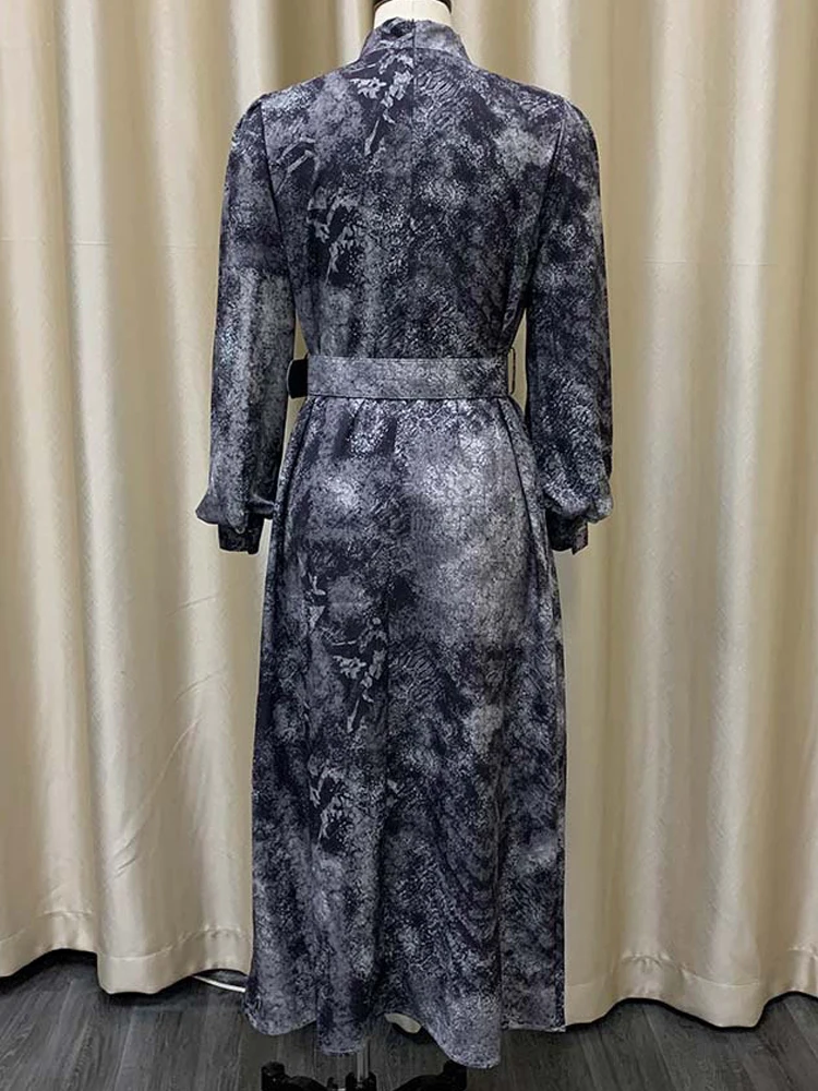 FairyShely ربيع 2025 طباعة حجم كبير فستان المرأة ك...