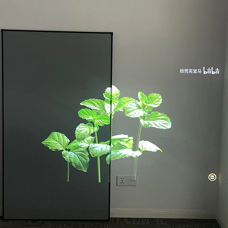 ALR Projector Screen 3D Nano Grey Crystal Ambient Light Rejecting Fixed Frame 1CM Ultra Narrow Border CLR 4K 8K Projection 2024