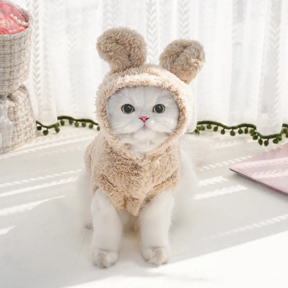 Warm Pet Hoodie Outfit 5