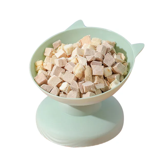 Tilted Pet Food Bowl 6