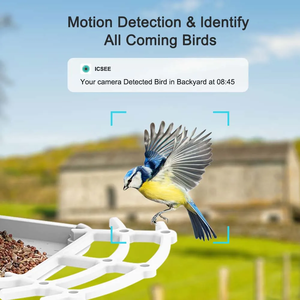 Caméra intelligente pour mangeoire d'oiseaux,1080P ,Extérieure ,Sans fil  ,WIFI, Solaire, Identification d'oiseaux AI, Caméra IP, Audio  bidirectionnelle, Vision nocturne ,ICsee - AliExpress