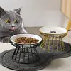 Food Water Treats For Cats &amp Doggie Cat Stand Bowl Dogs Supplies Ceramic Raised Pet Bowl Outdoor Feeding Drinking Accessories 3