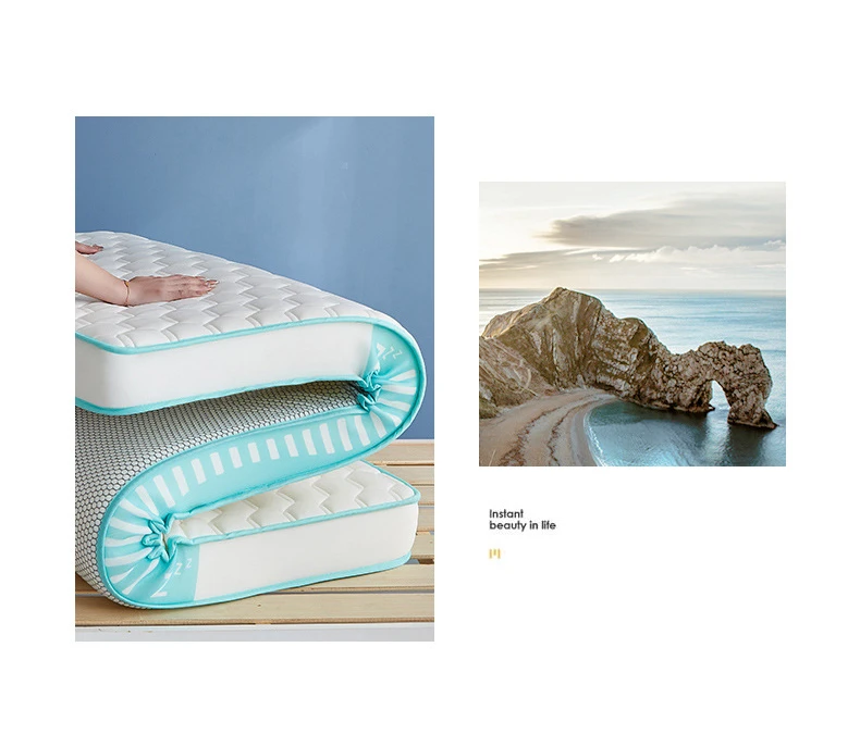 Description Picture 3 of itemFamily Mattress Thickened Sponge Tatami Latex Mat Single Mat 90cm Memory Cotton Upholstered Bedroom Furniture Accessories