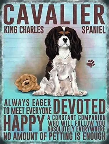 

Cavalier King Charles Spaniel Dog Animal Metal Sign TIN Plaque Print Picture Retro Wall Home Bar Pub Vintage Cafe Decor