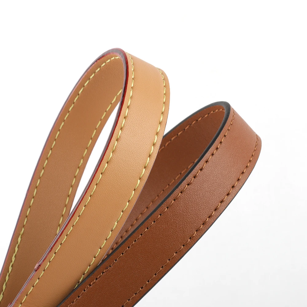 Taschengurt aus echtem Leder, Handtaschengriffe für Handtasche, kurzer Taschengurt, Geldbörsengurt, silberne Goldschnalle, Ersatz-Taschengürtelband – Detail 8