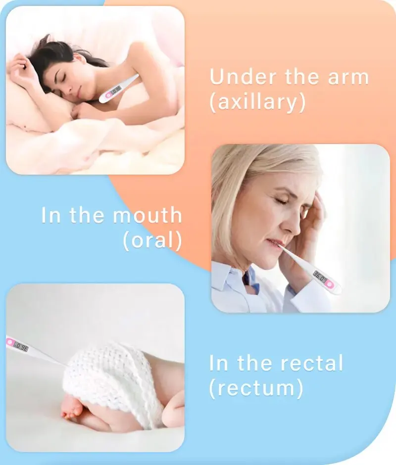 Digital Basal Clinical Thermometer For Ovulation High Accurate 0.01C Display 1/100th Degree Precision Reading Memory Recall digital thermometer