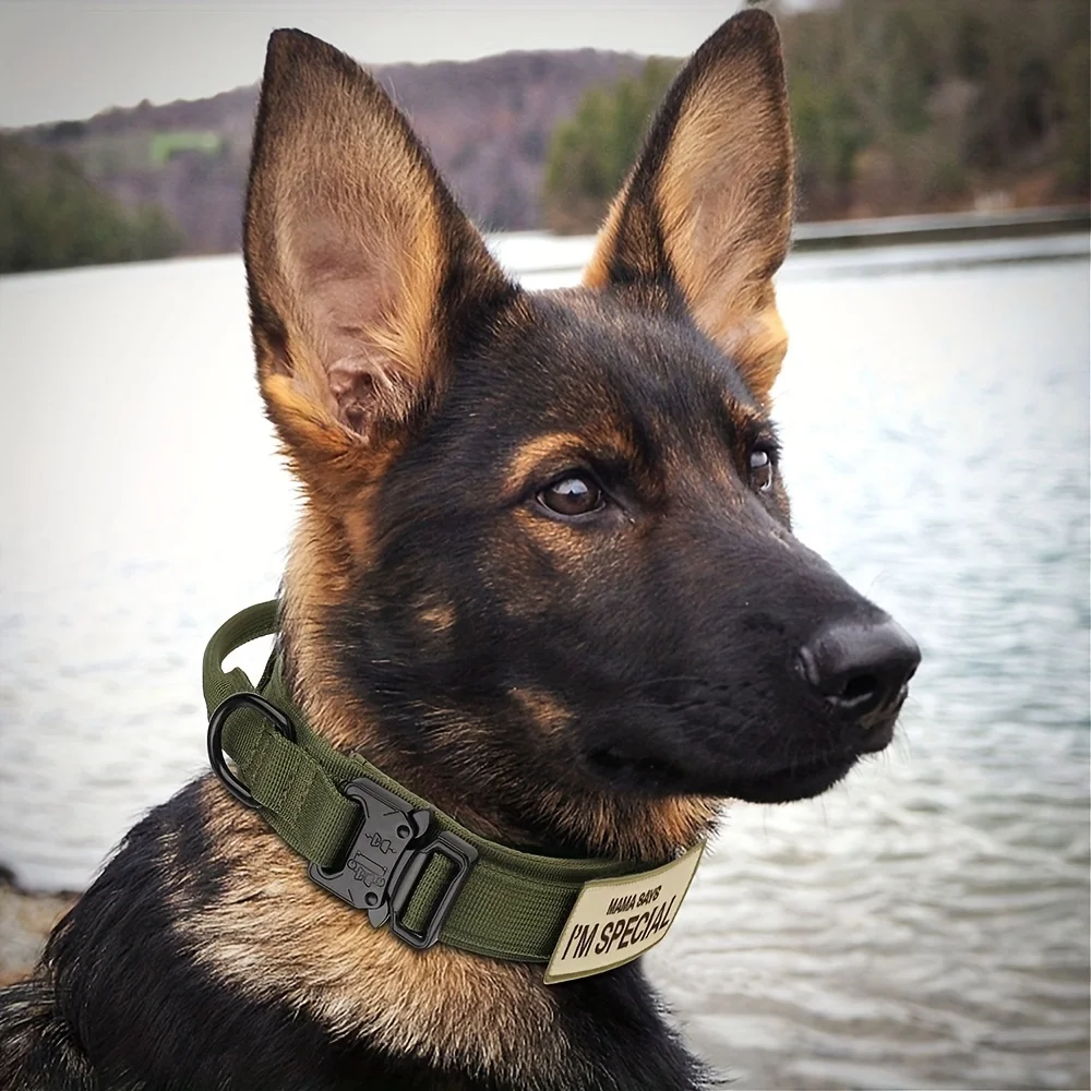 Heavy Duty Tactical Dog Collars with Handle Military Collar with Patch Outdoor Training and Walking for Medium and Large Dogs 3 Heavy Duty Tactical Dog Collars with Handle Military Collar with Patch Outdoor Training and Walking for Medium and Large Dogs 3
