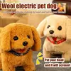 Barking Dog Toys for Kids Walking Dog Cat Electronic Pet Barking Dog Companion Animal Electric Pets Battery Operated Tail 6