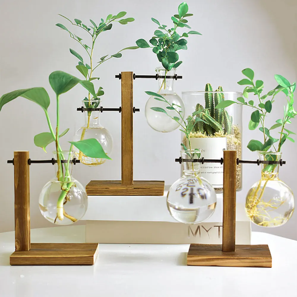 Glass Desktop Planter with Wooden Stand for Home Decor
