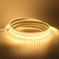 Warm White