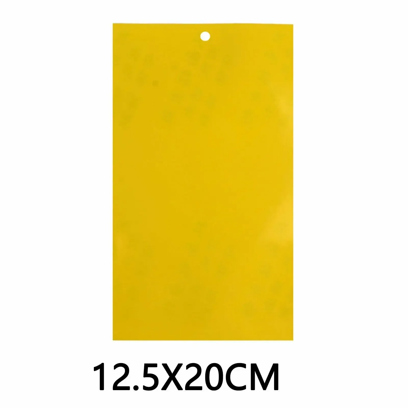 20 X 12.5