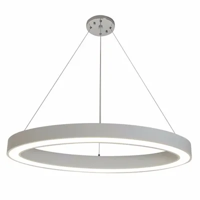 

Modern Acrylic Cover Circular Matte White Aluminum LED Pendant Lights WitWire Suspension Light Hall Suspension Luminaire