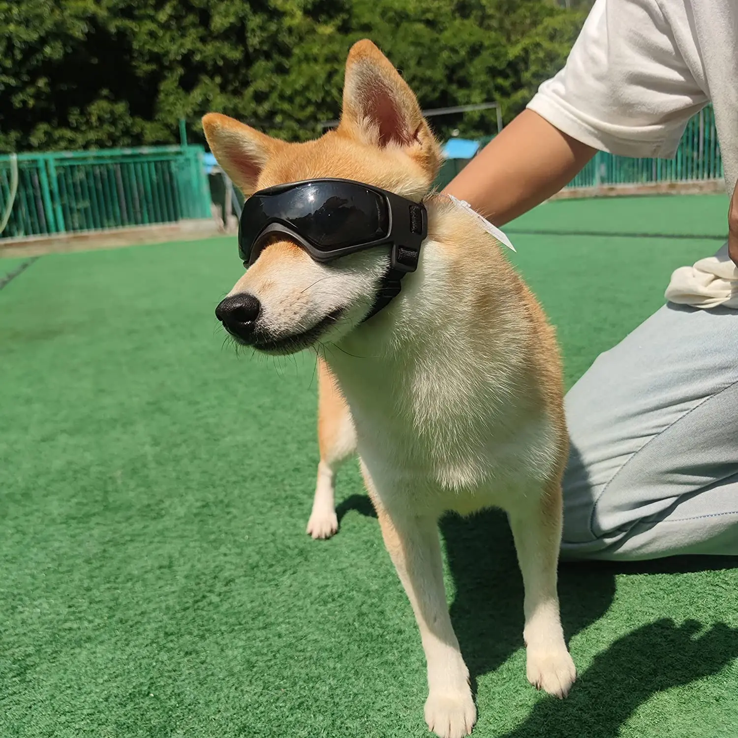 UV Protection Dog Sunglasses 6