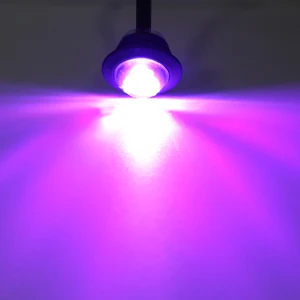 10PCS-Violet