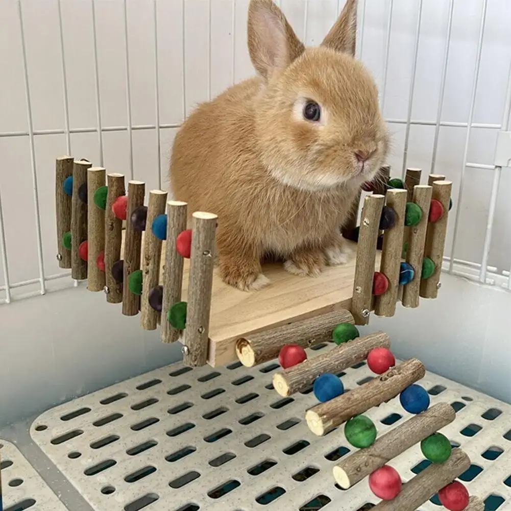 Chinchilla Rabbit