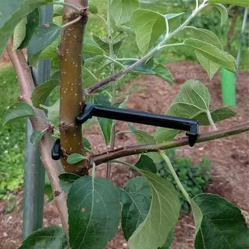 Fruit Tree Branch Puller Plant Vines Support Clips Twisting Shapers Twist Styling Bonsai Curved Elbow Garden Tool