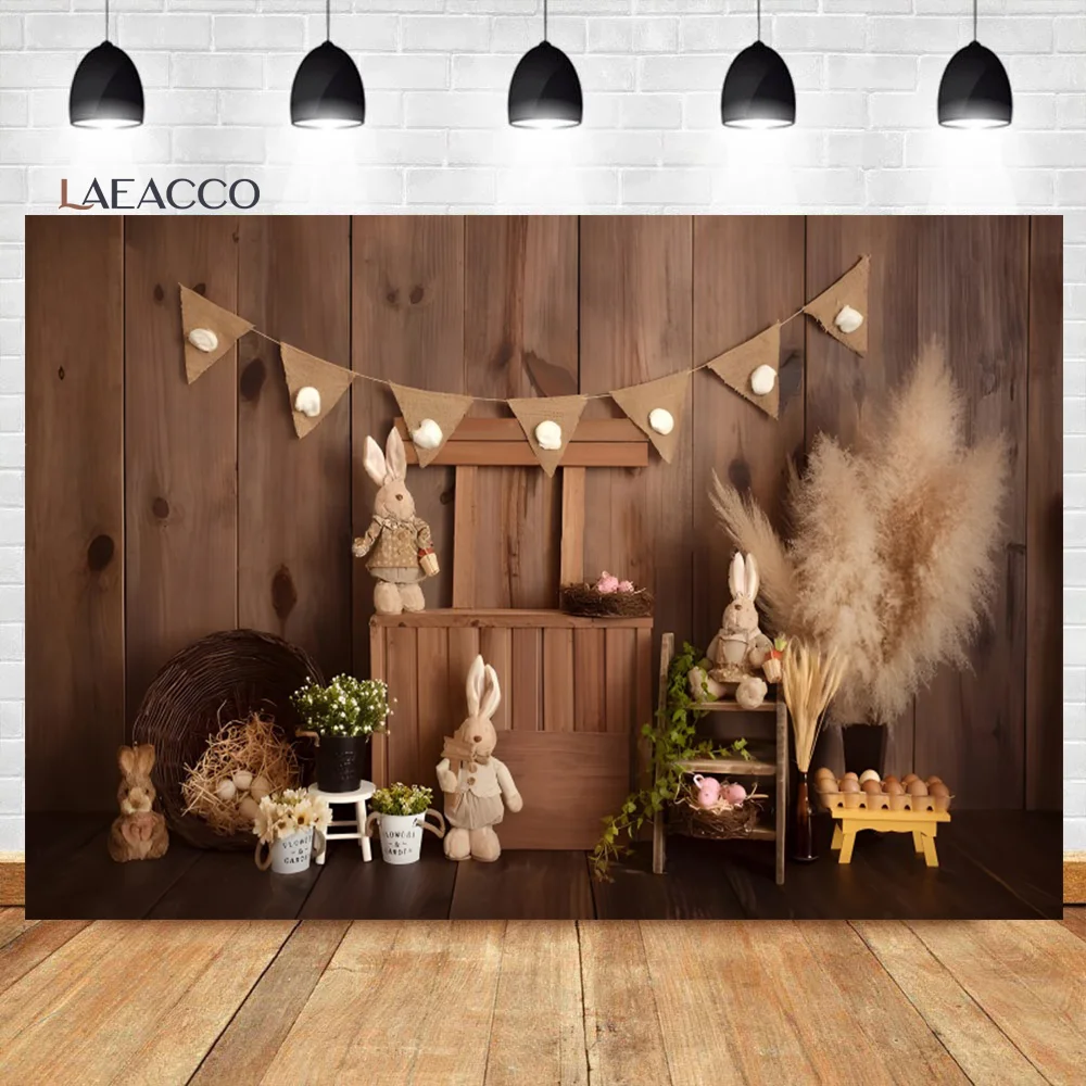 Laeacco  ູ Ȱ  , ҹ     ̺   ʻȭ  