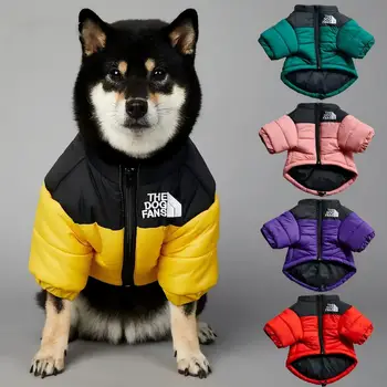 Winter Down Dog Jacket 1