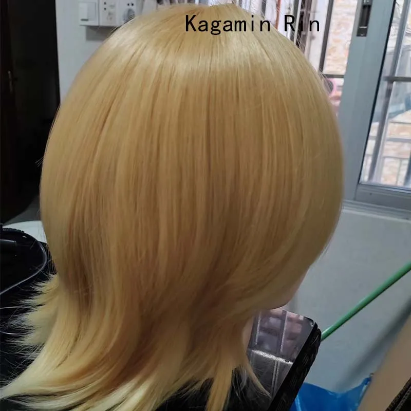 Cosplay Wig with Rose Net - Heat-Resistant Synthetic Anime Hair