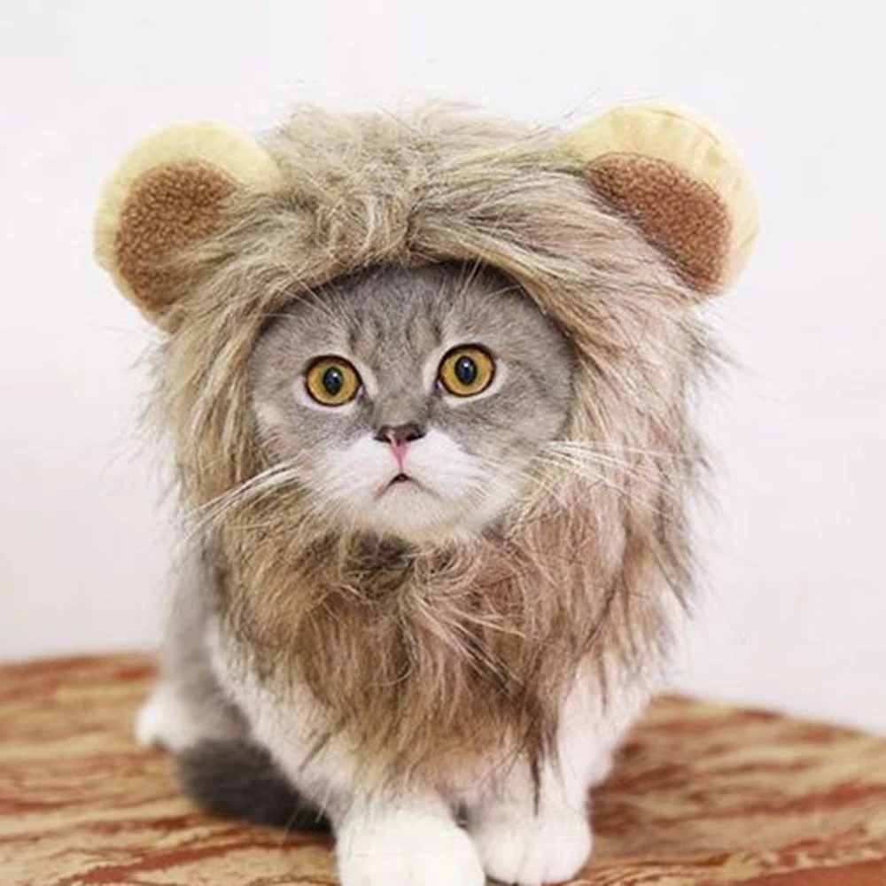Gato cosplay vestir-se chapéu de estimação leão juba para gato filhote de cachorro leão peruca traje decoração festa dia das bruxas natal suprimentos para animais de estimação