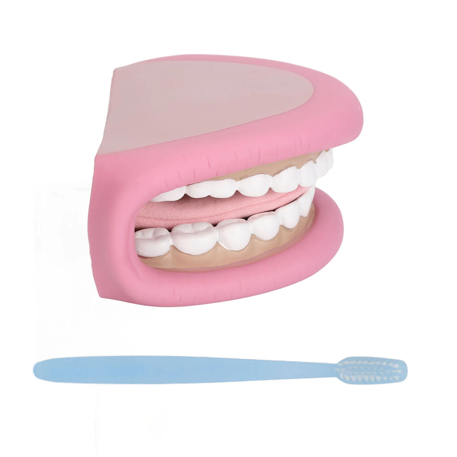 Lavar os Dentes com Desenho: Como um Marioneta de Boca Com 28 Dentes  Revolucionou Nossa Rotina, image size:1601x1601