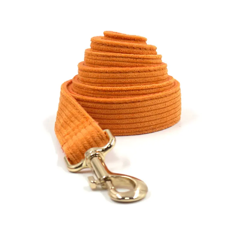 5-Leash