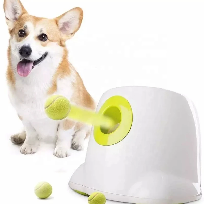 

Ball thrower pet dog interactive motorised cat toy plastic automatic adjustable distance tennis transmitter toys for dog