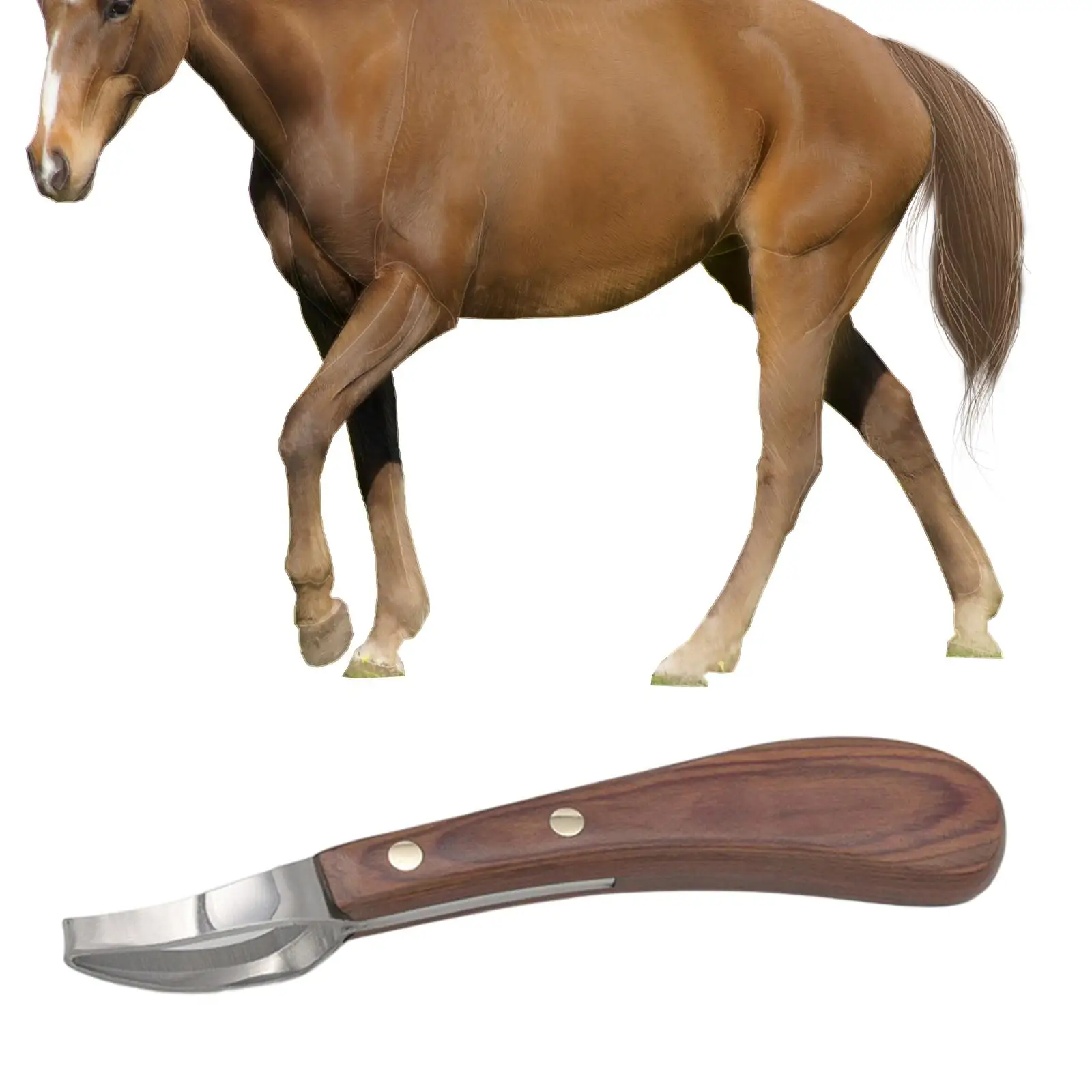 Hoof Knife Right or Left Handed Hoof Cutting Tool for Goats Sheep Horse 3