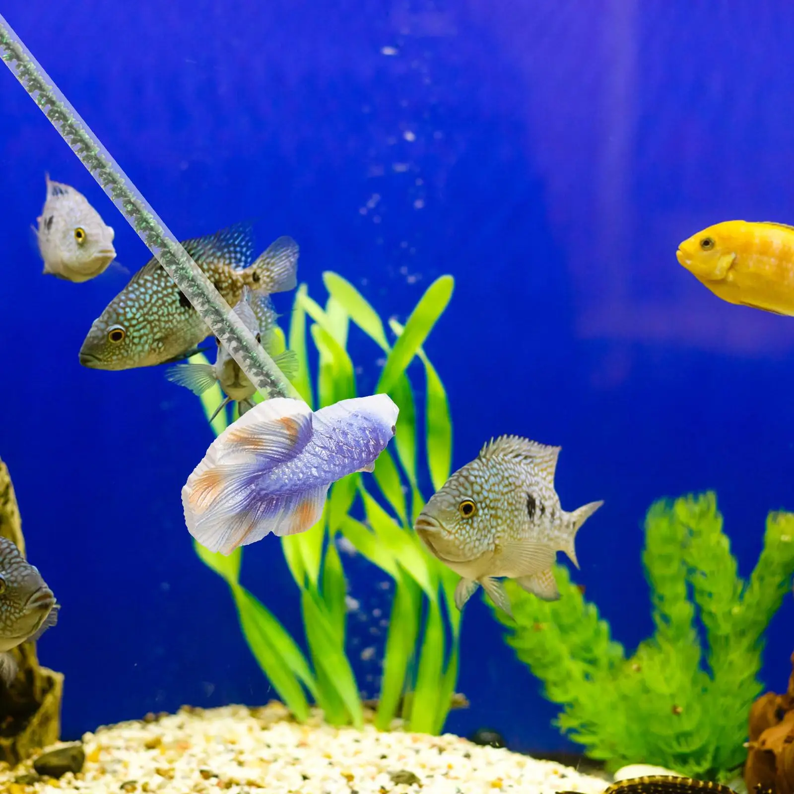 Fish Betta Active Plaything Training Stick Virtual Tank Resin Decorative