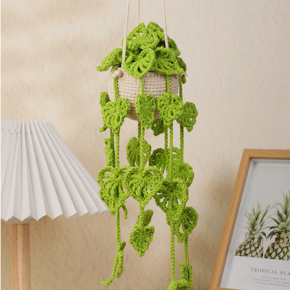 Botanical Air Plant Crochet Kit 18 Sd26f38bcf68f41a1a7c5ea1bb8474dcba