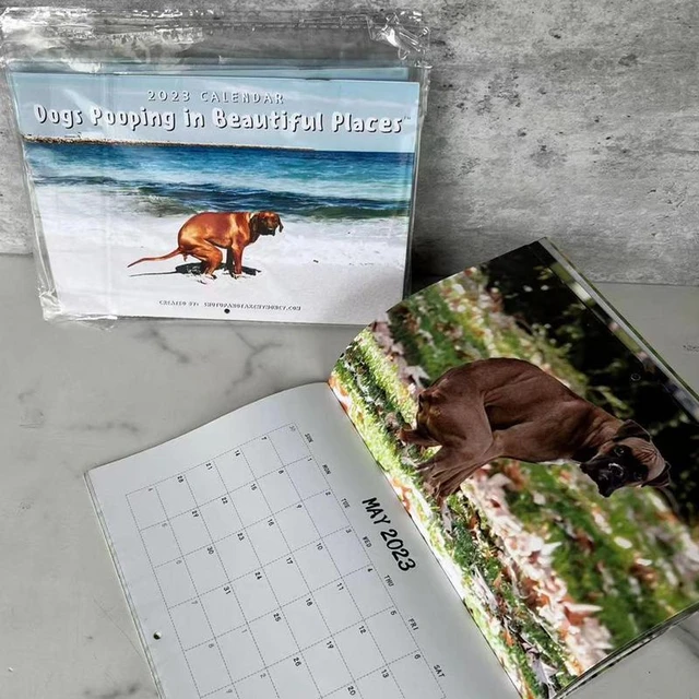 Dog A Day Calendar Page