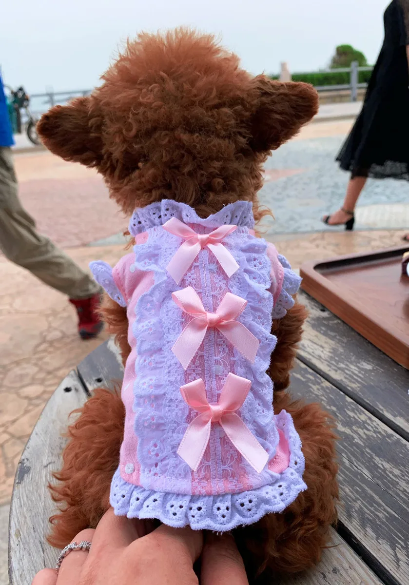 Pet Cat XXS XXXS T Shirt Dog Dress Cotton Skirt Soft Dress Yorkie Clothes for Micro Puppy Teacup Chihuahua Extra Small