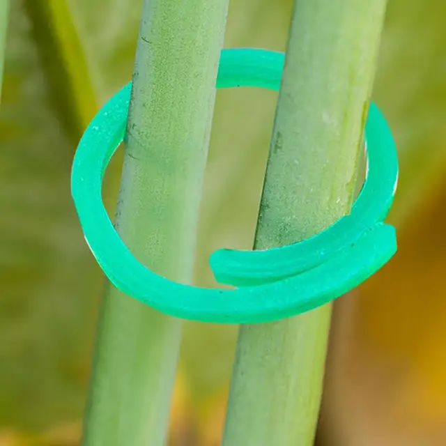 Növényi Csavarás Klip 100Db Zöldségek Paradicsom Szőlő Virág Klipek Csavaráskert Kerti Más Szőlőüzemekhez A Hegymászáshoz - Image 4
