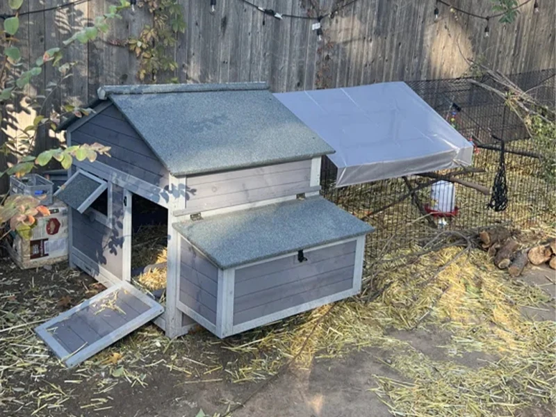 chicken house