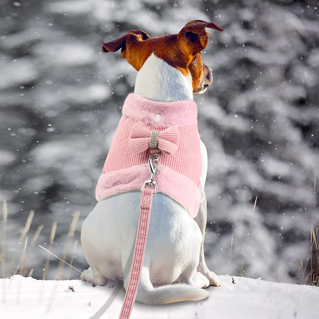Warm Winter Dog Harness Leash Set Cute Bowknow Puppy Small Dog Vest Harness Soft Fur Collar Vest With Bowtie For Pug Yorkie Pink 5