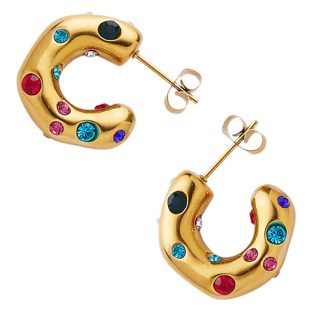

Earrings Colored Jewelry Stainless Steel Womens Statement for Miss