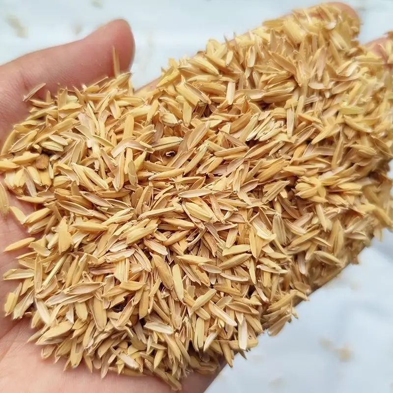 RiceHuskWholesaleRiceHuskPlantingGrassFillingMaterial
