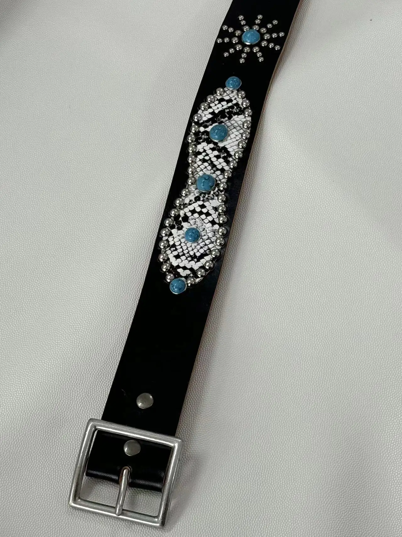 Black ten snakes and ten earth