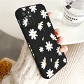 Black-377W