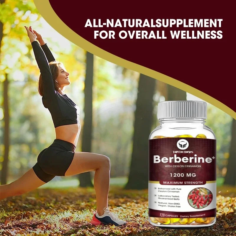 Berberine HCl 1200mg 120 Capsules Vegetarian Supplement Gluten Free NonGMO for Digestive