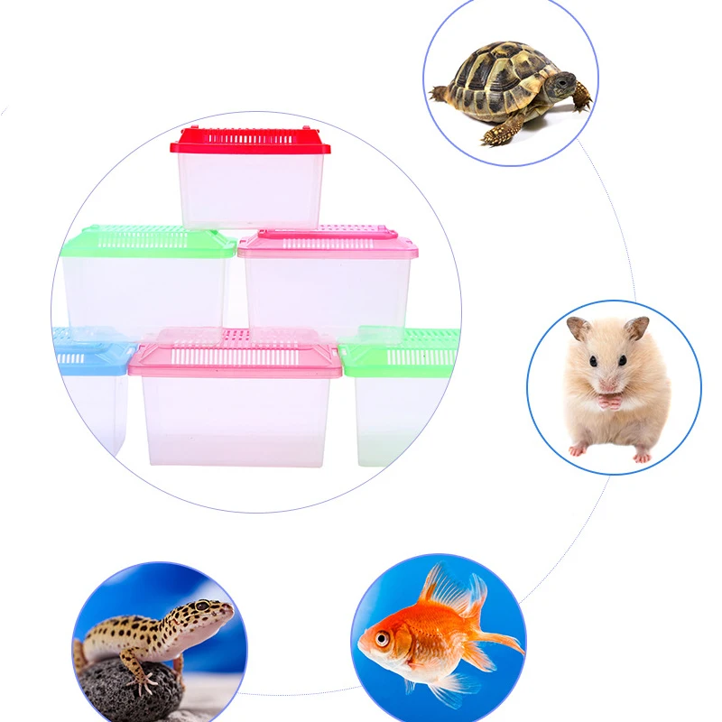 Portable Transparen Feeding Aquarium fish aquarium