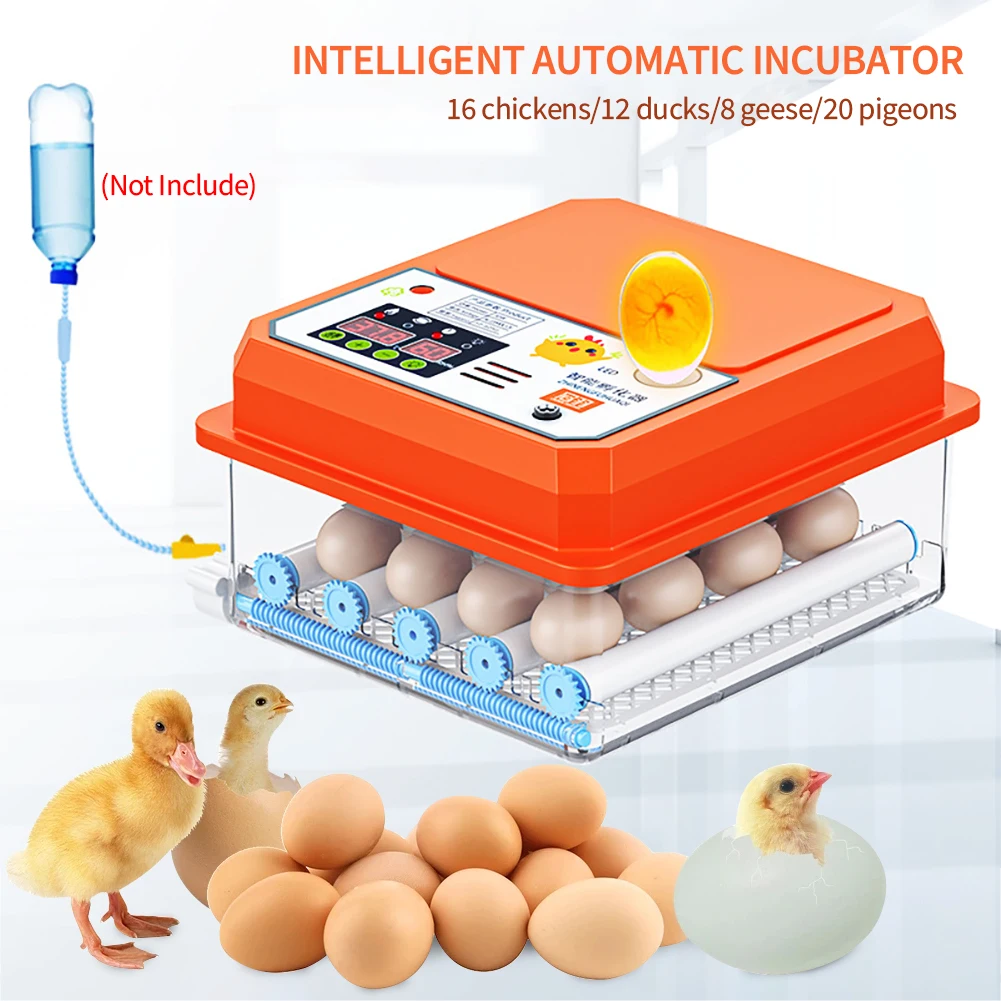 1216EggsSingleDoubleFullAutomaticEggIncubatorHatcheryEgg