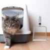 28.5X14X6Cm Stainless Steel Cat Litter Scoop Non Stick Metal Sand Sifter Pet Litter Box Tool Large Capacity 10 Mesh 2X2Mm Screen 2
