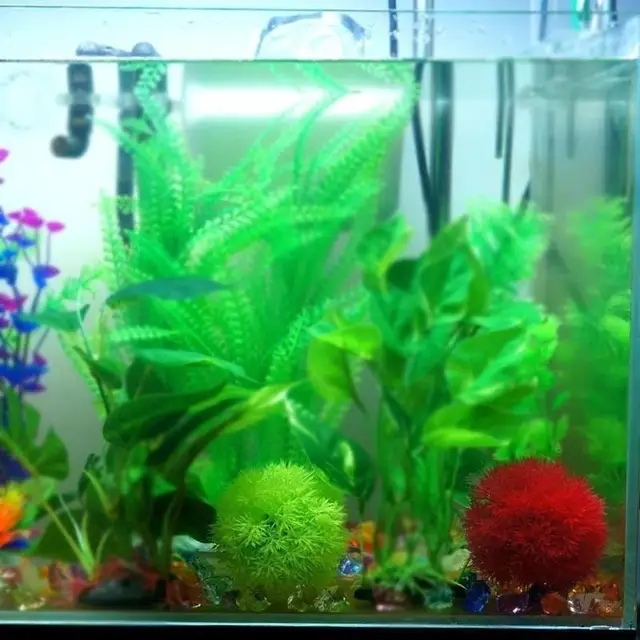 Artificial Aquarium Aquatic Plastic Plants Grass Ball Fish Aquarium Ornamental Chlorella Prospects Grass Decoration 5