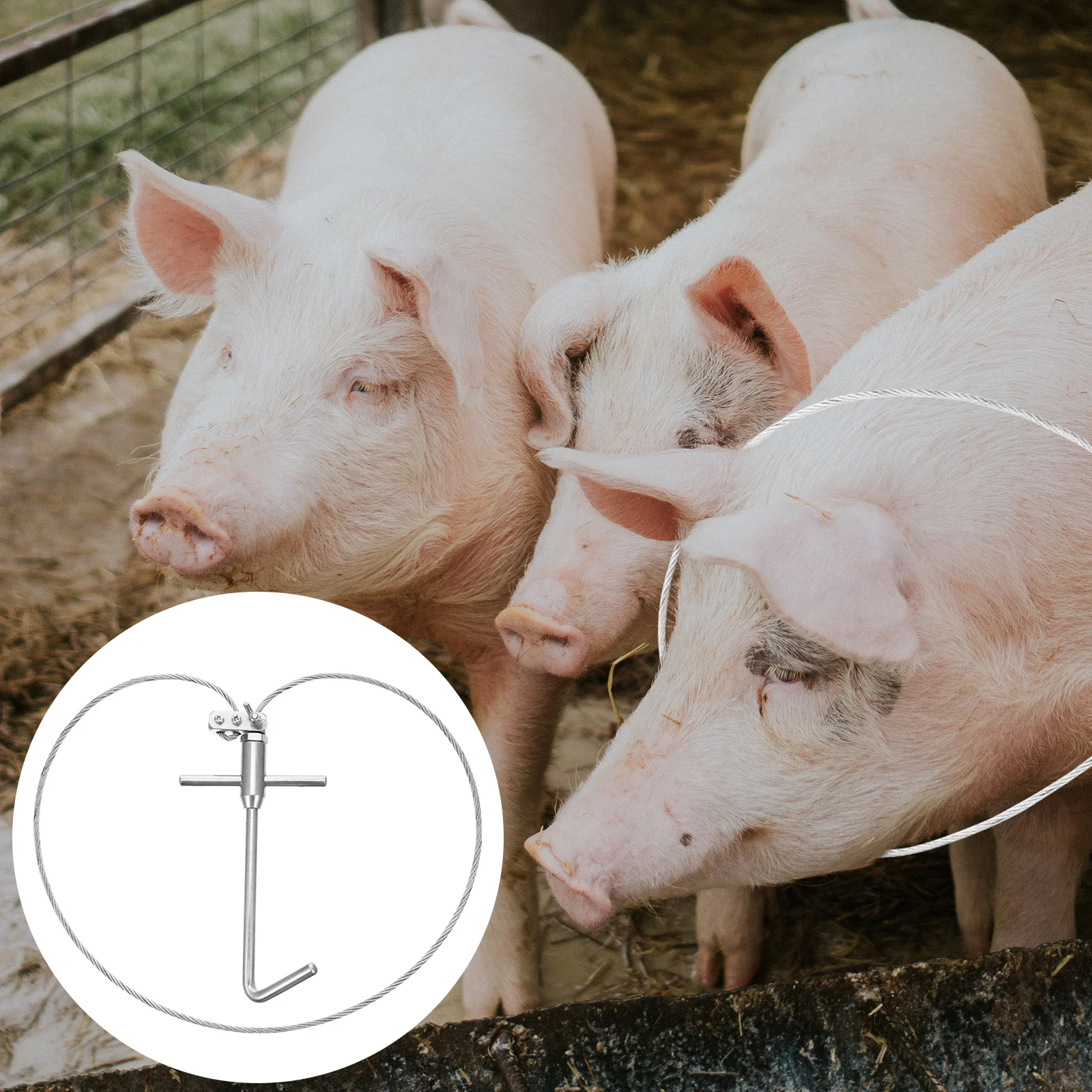 

Pig Set Catcher Trap Squeezer Metal Farming Equipment Stainless Steel Livestock Snare Holder