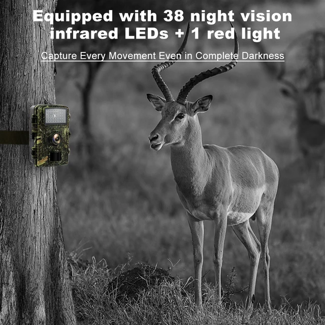 HD Wildlife Camera PIR Night Vision with 32G memory card Hunting Machine For Outdoor Camping Security Monitoring Hunting Camera 3