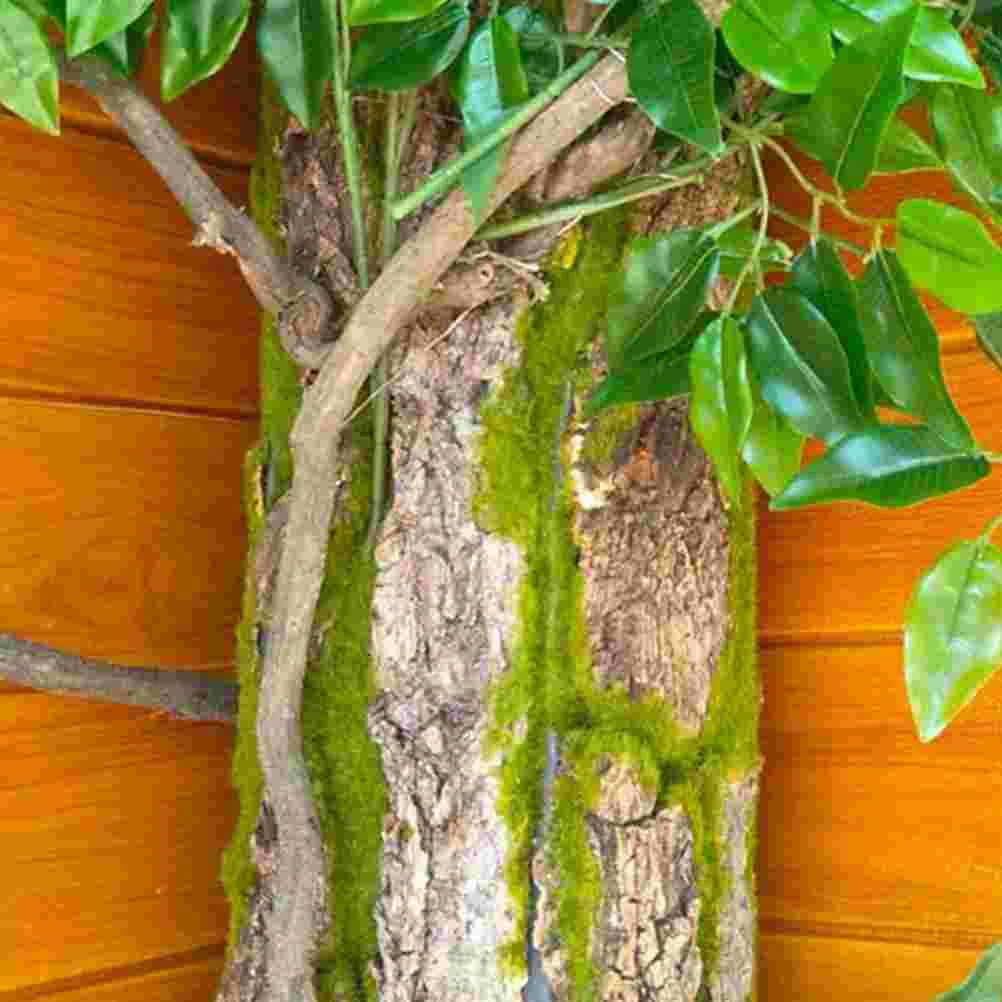 

Reptiles Supplies Terrarium Decorative Bark Cork Reptiless Decorations Terrariums Tank Accessories