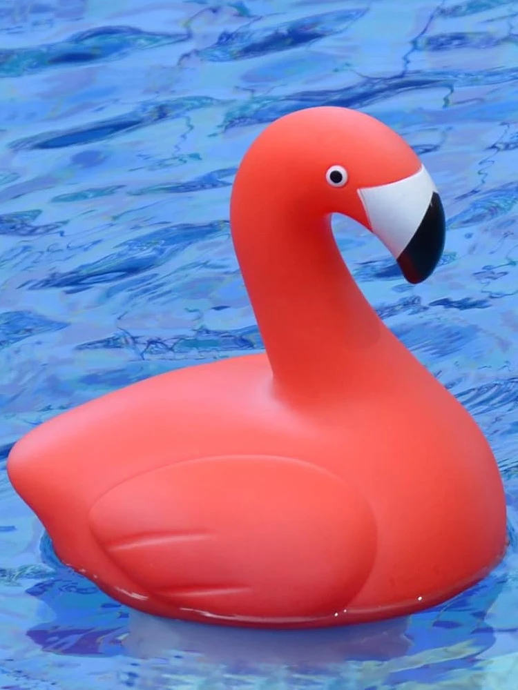 ¾籤 öְ  ÷,   ȭ, PVC   ÷,  ÷  Ŭ